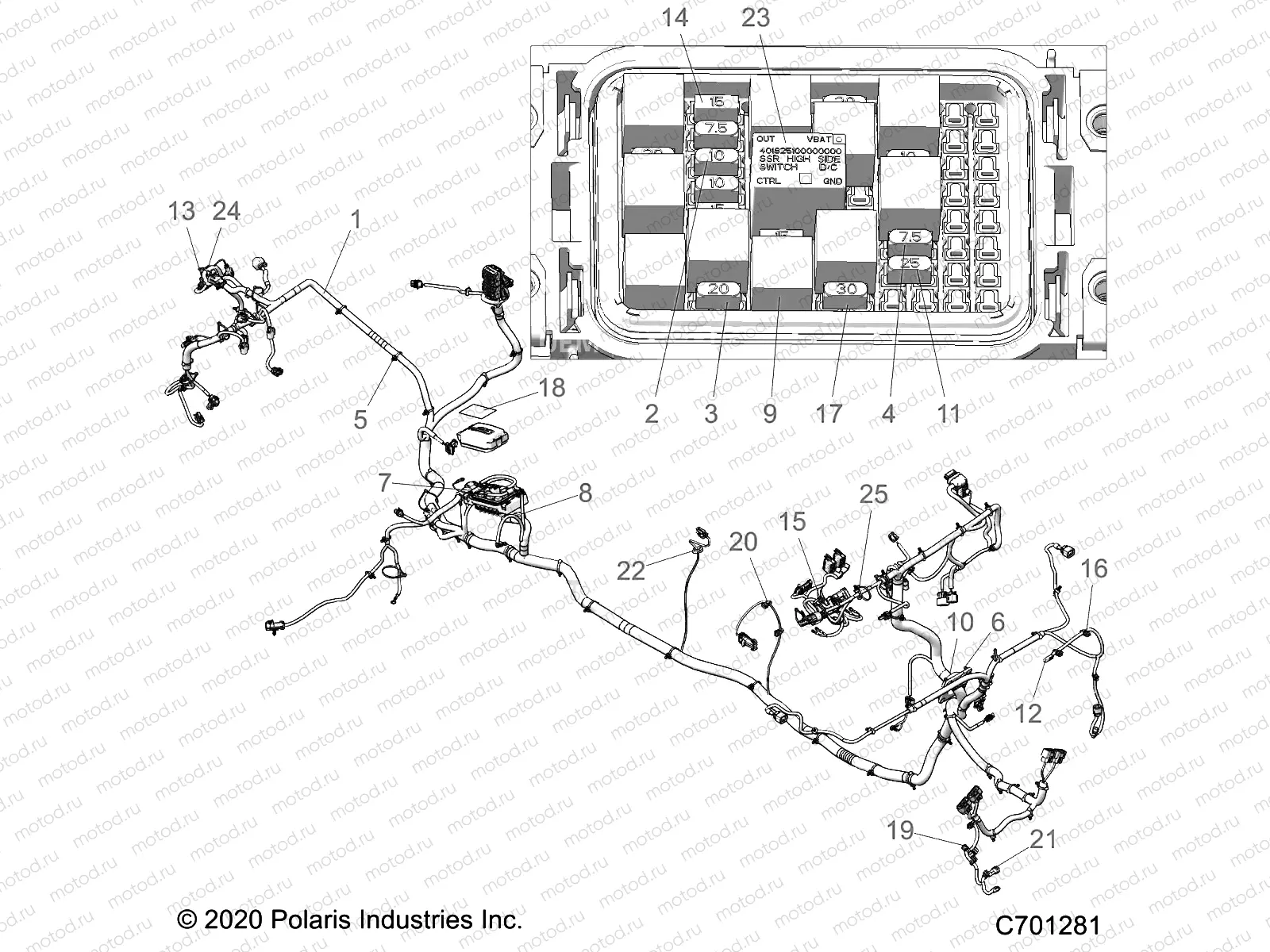 ELECTRICAL | ELECTRICAL, WIRE HARNESS - R21RSF99AK (C701281)