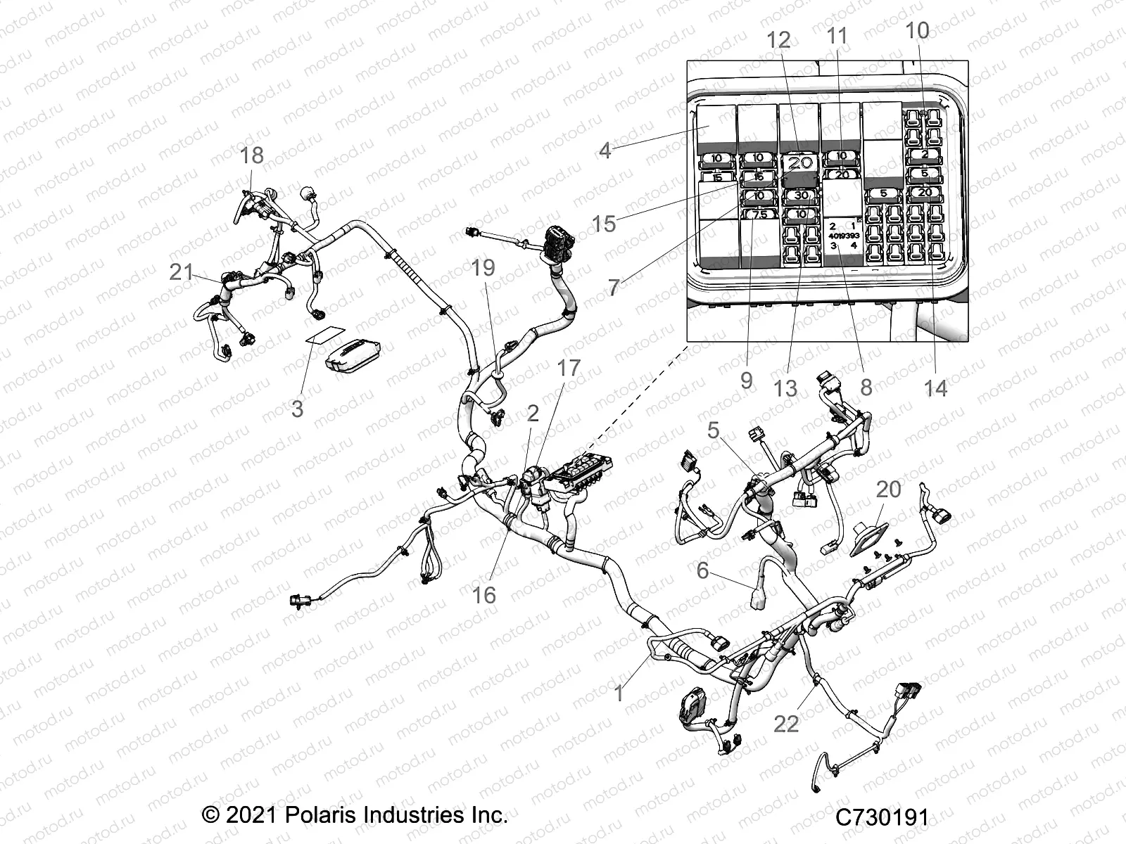 ELECTRICAL | ELECTRICAL, WIRE HARNESS - R22RRP99CG (C730191)