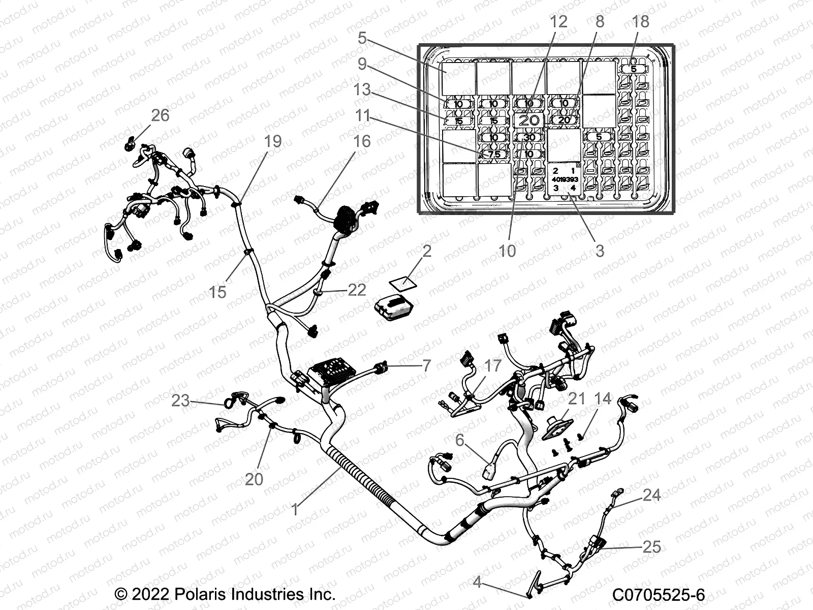 ELECTRICAL | ELECTRICAL, WIRE HARNESS - R22TAE99FA/SFA/SCA (C0705525-6)