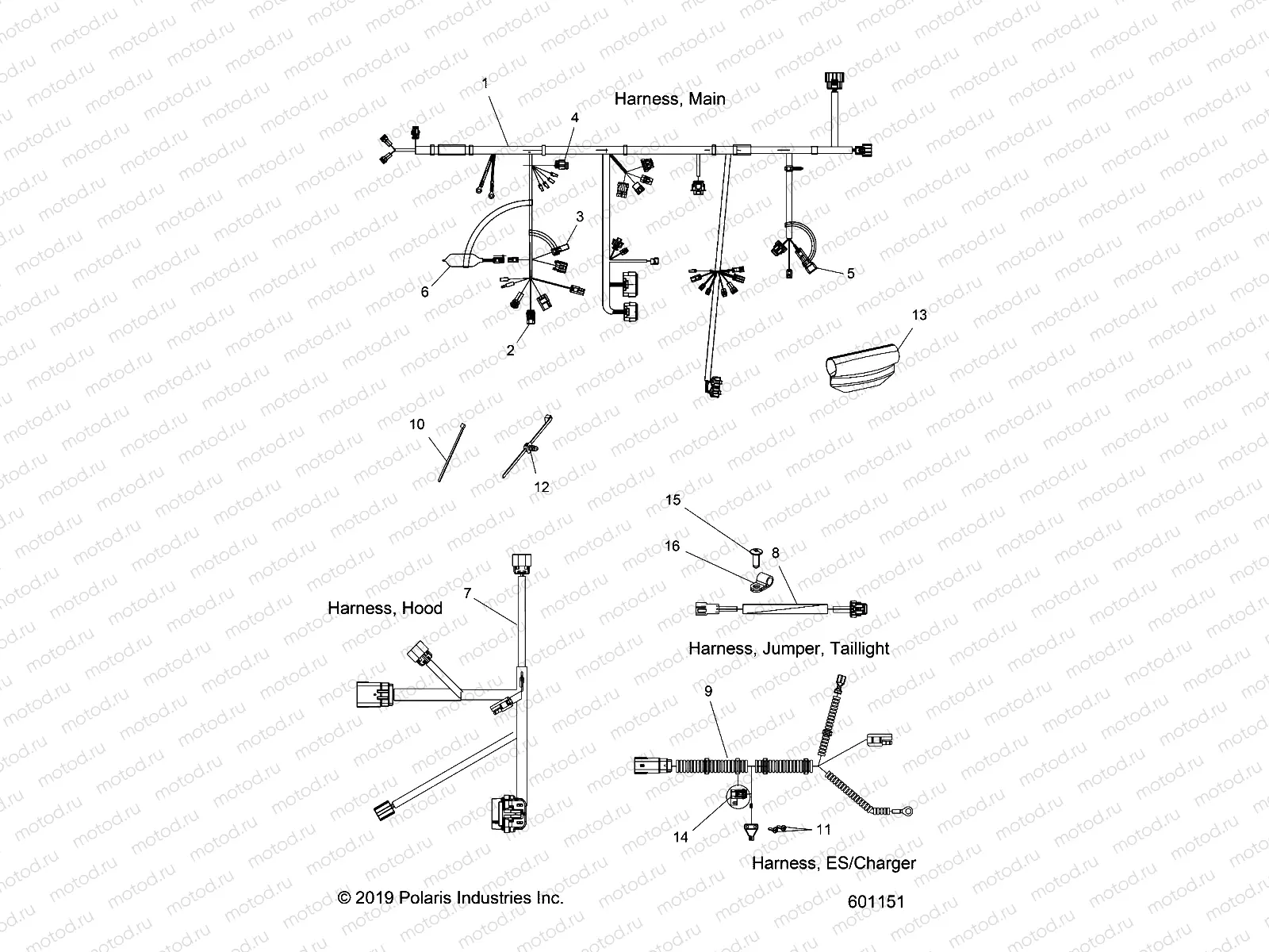ELECTRICAL | ELECTRICAL, WIRE HARNESS - S20CBA6GSL (601151)