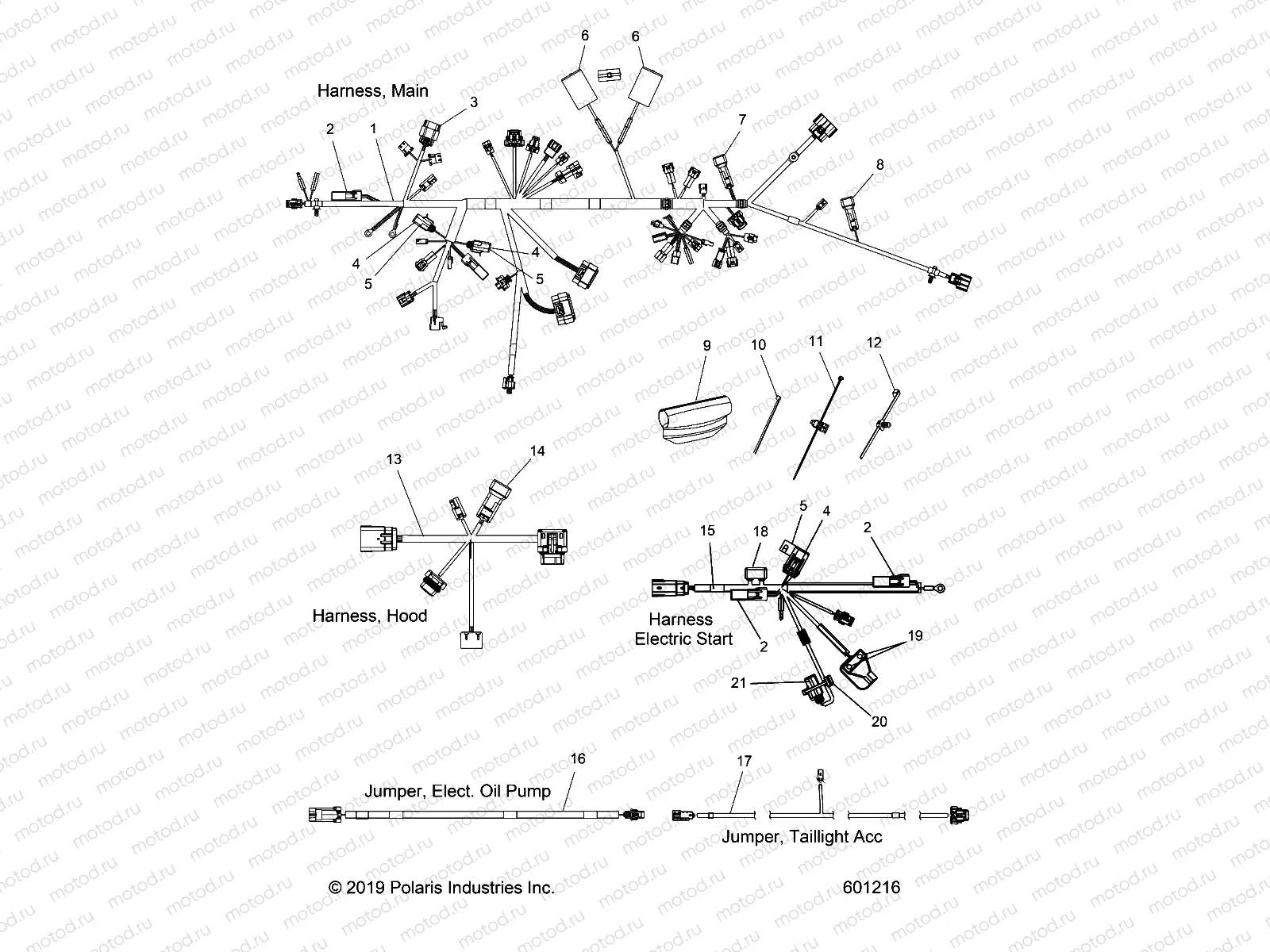 ELECTRICAL | ELECTRICAL, WIRE HARNESS - S21EDB6PSL (601216)
