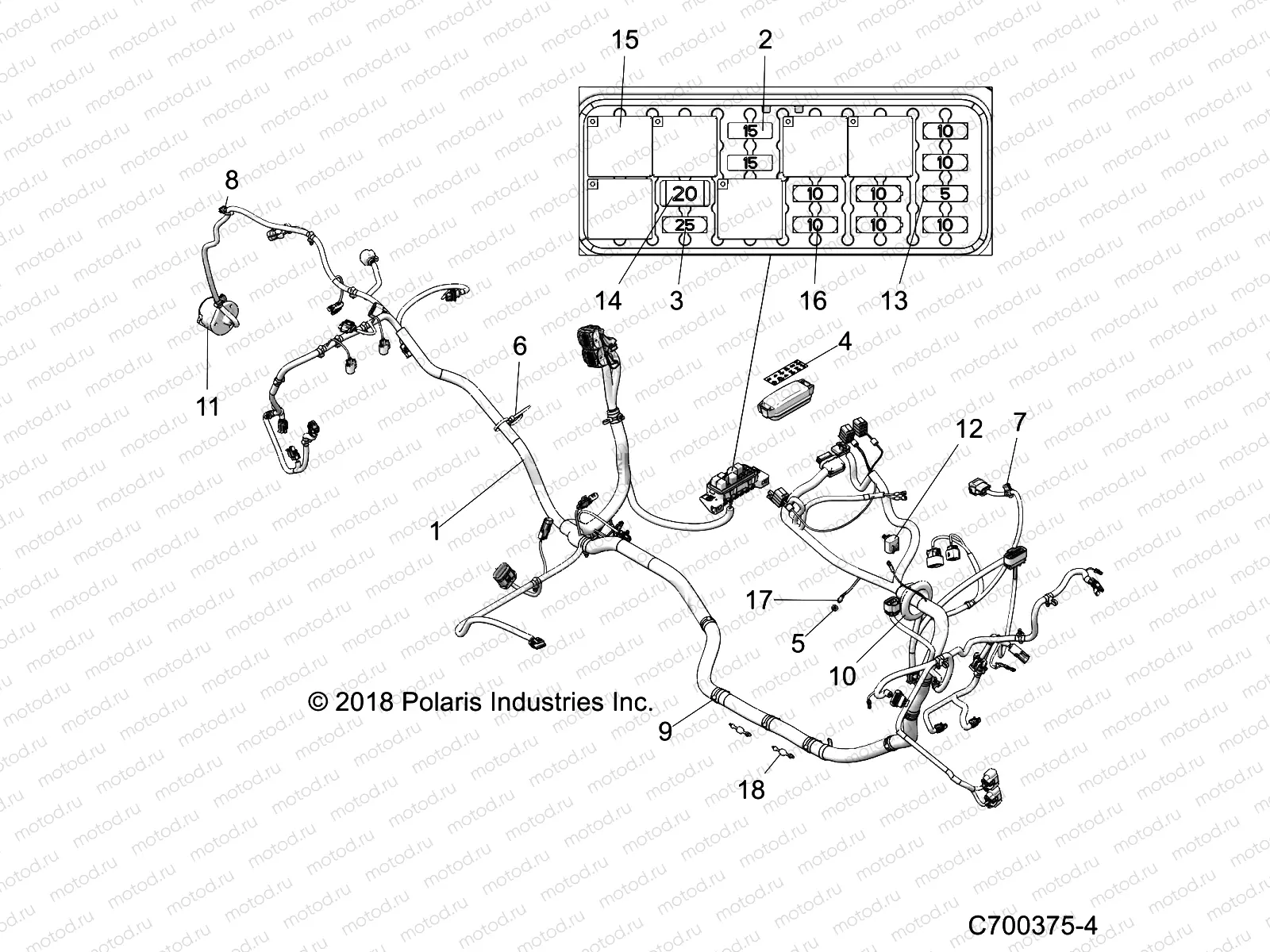 ELECTRICAL | ELECTRICAL, WIRE HARNESS - Z19VBE99F2/S99C2/CM (C700375-4)