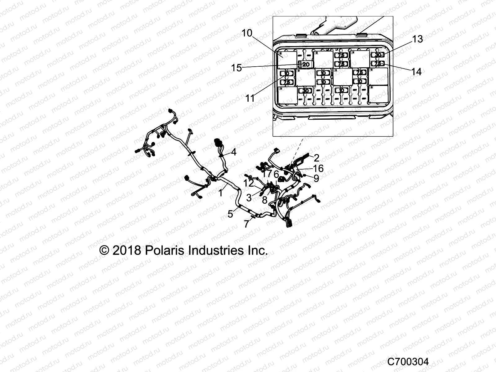 ELECTRICAL | ELECTRICAL, WIRE HARNESS - Z19VDE99AD/BD/LD/AK/BK/AN/BN/R99BK (C700304)