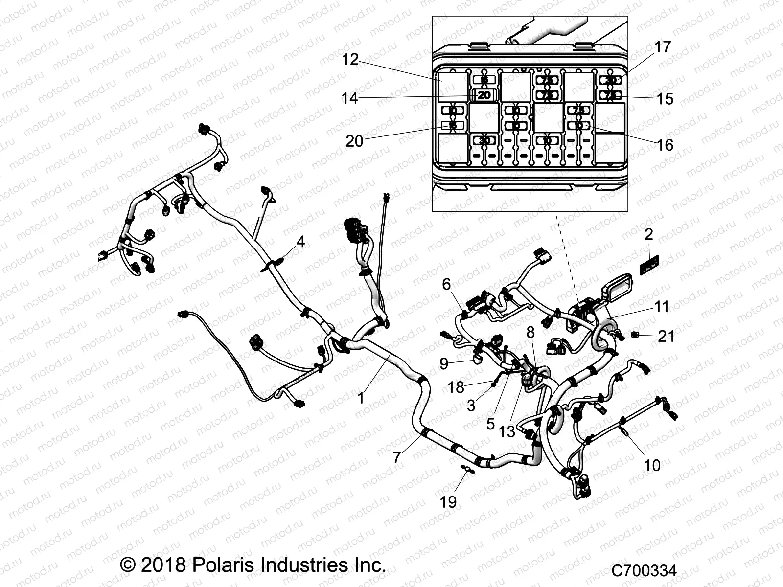 ELECTRICAL | ELECTRICAL, WIRE HARNESS - Z19VDK99AD/AK/AN/BD/BK/BN (C700334)