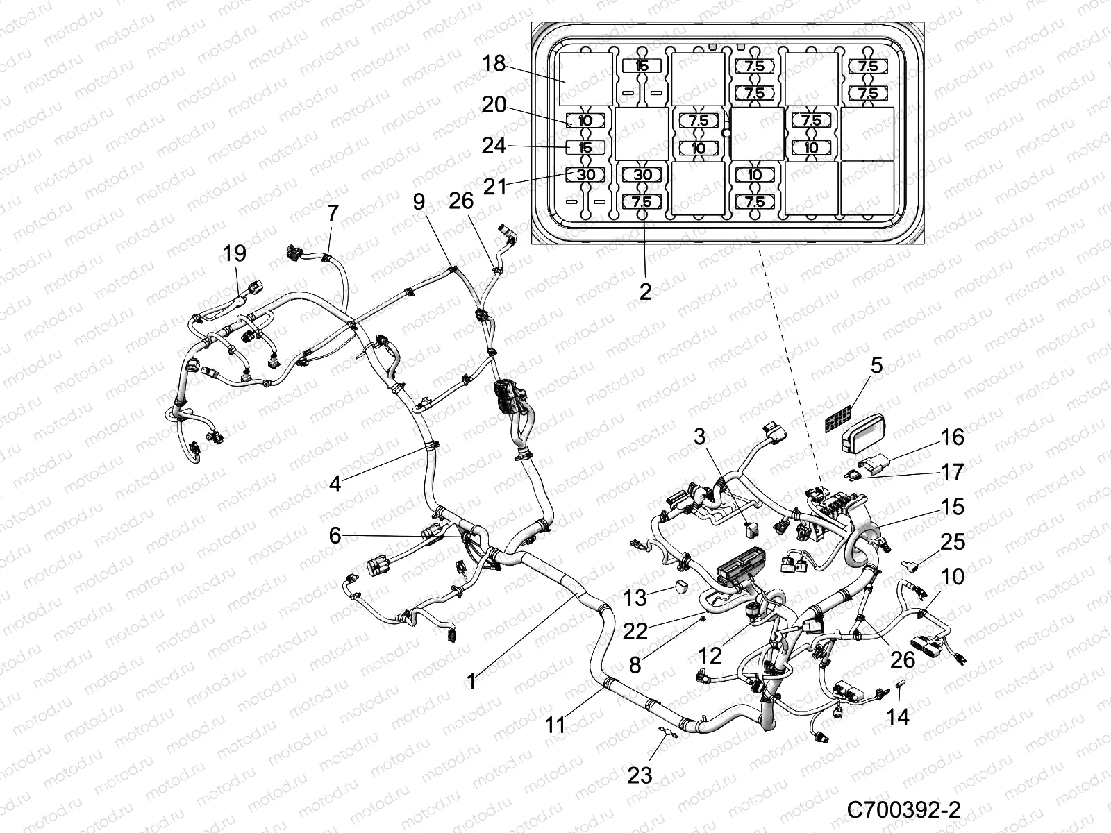 ELECTRICAL | ELECTRICAL, WIRE HARNESS - Z19VDL92AG (C700392-2)