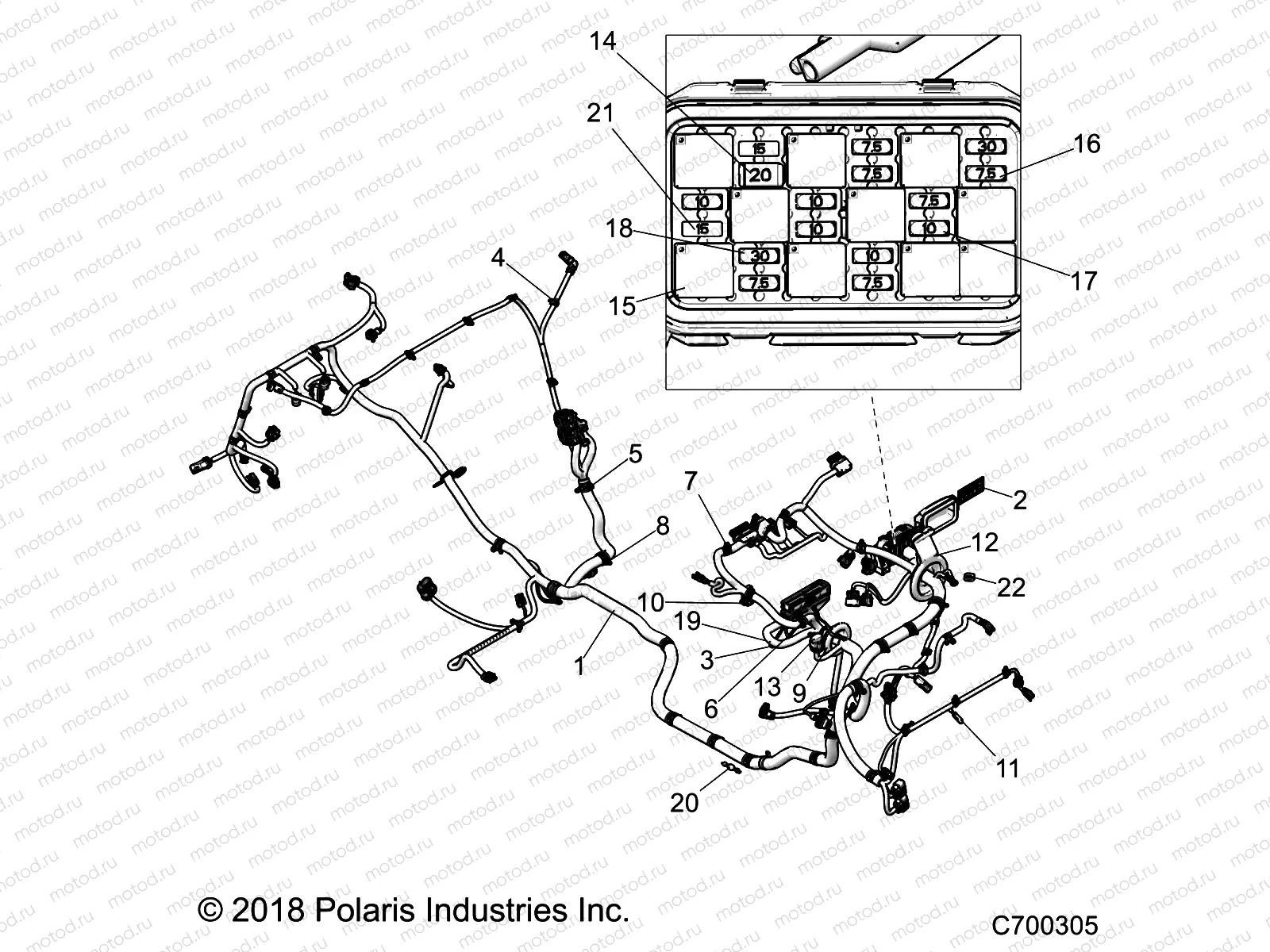 ELECTRICAL | ELECTRICAL, WIRE HARNESS - Z19VDL99AC/BC (C700305)