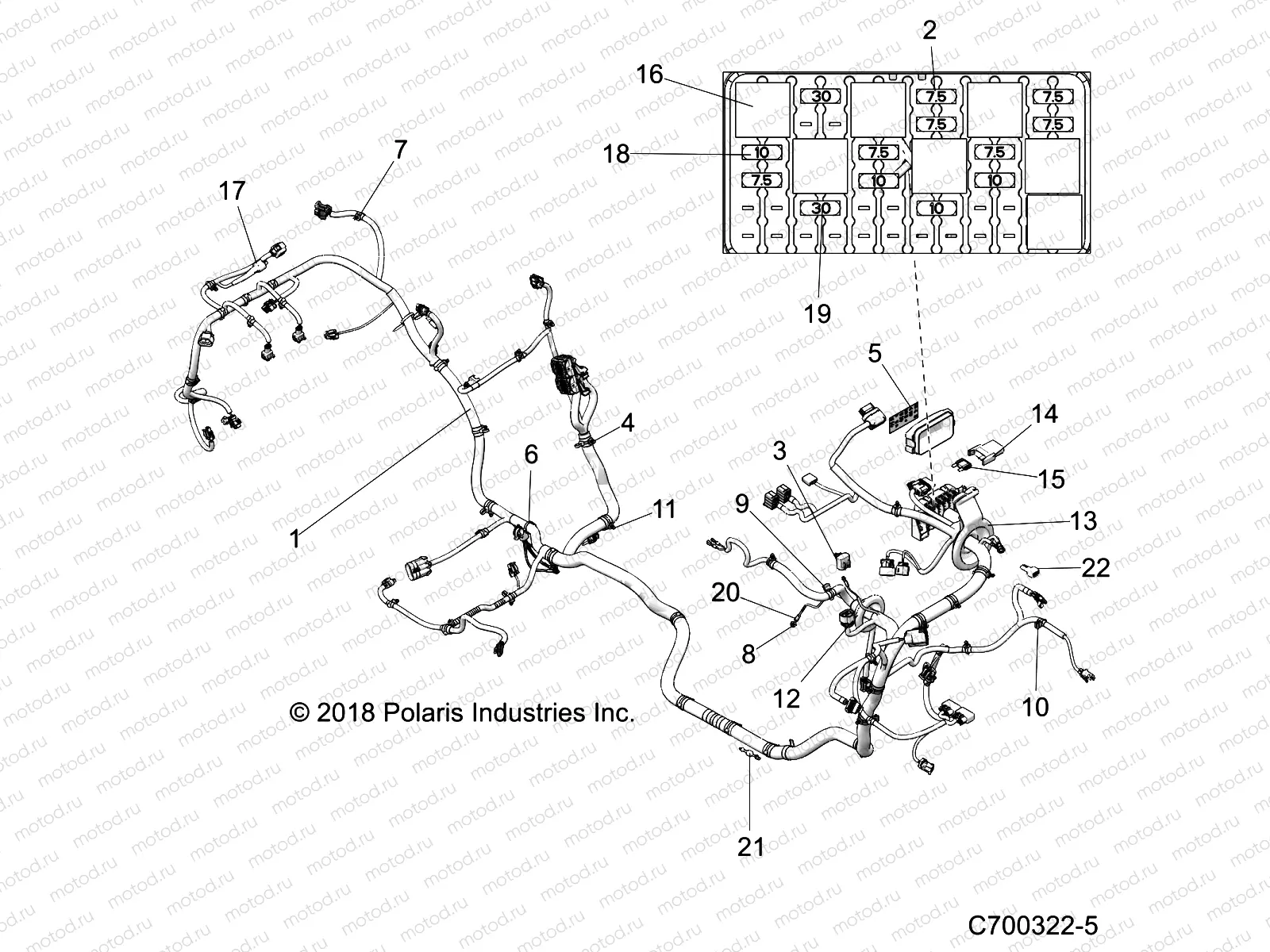 ELECTRICAL | ELECTRICAL, WIRE HARNESS - Z19VEE92AM (C700322-5)