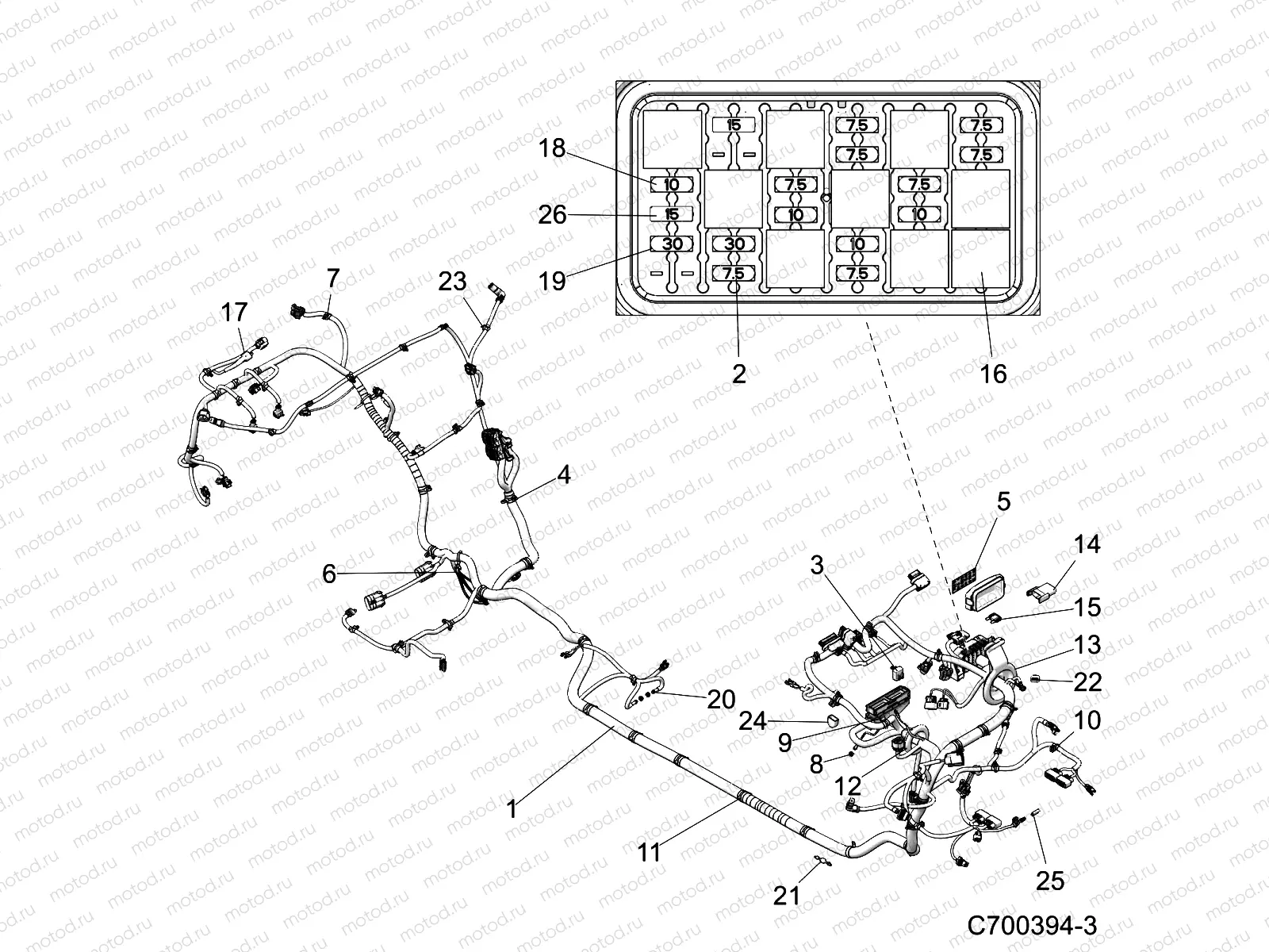 ELECTRICAL | ELECTRICAL, WIRE HARNESS - Z19VFL92AG (C700394-3)