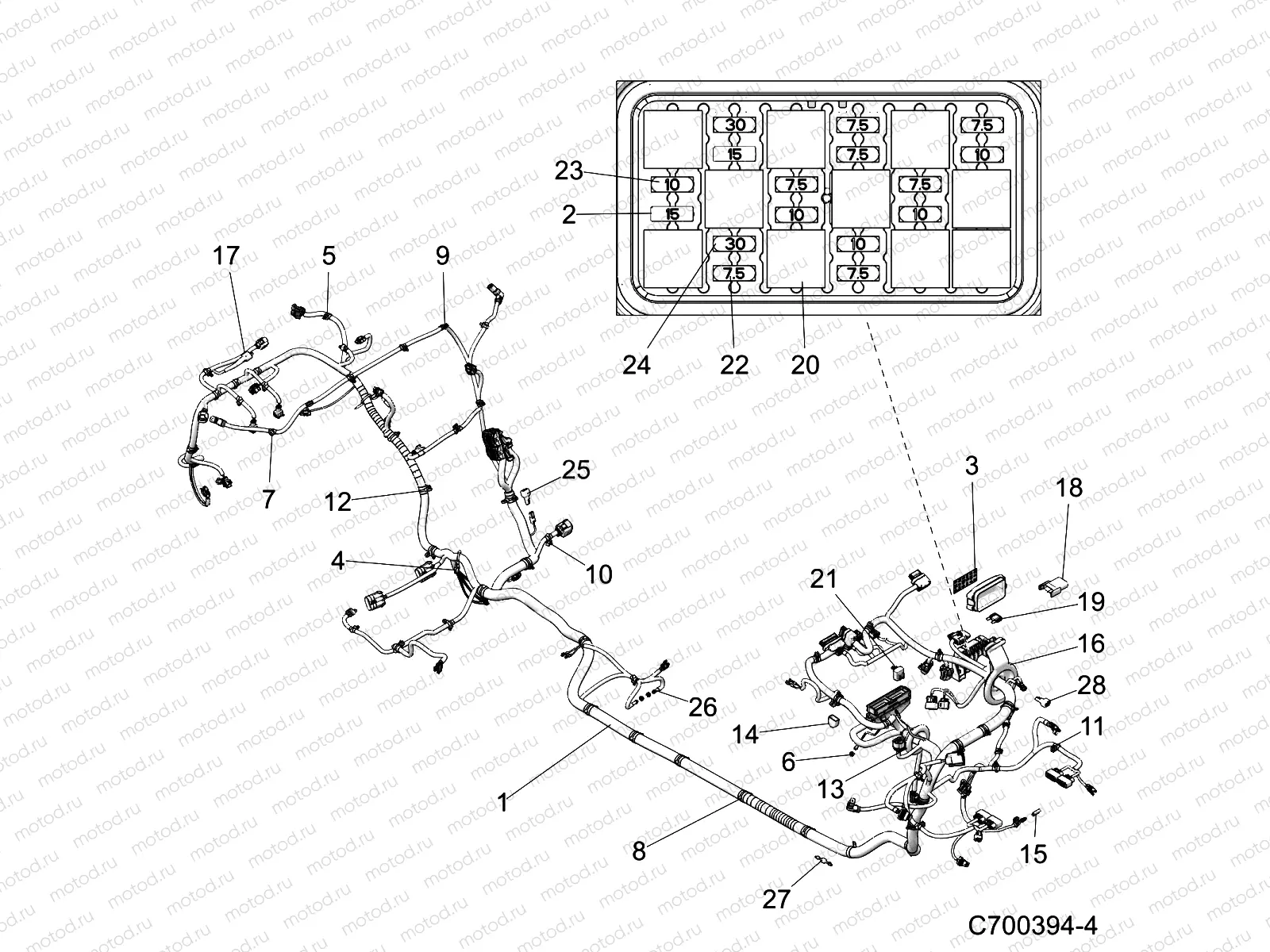 ELECTRICAL | ELECTRICAL, WIRE HARNESS - Z19VFL92BG (C700394-4)