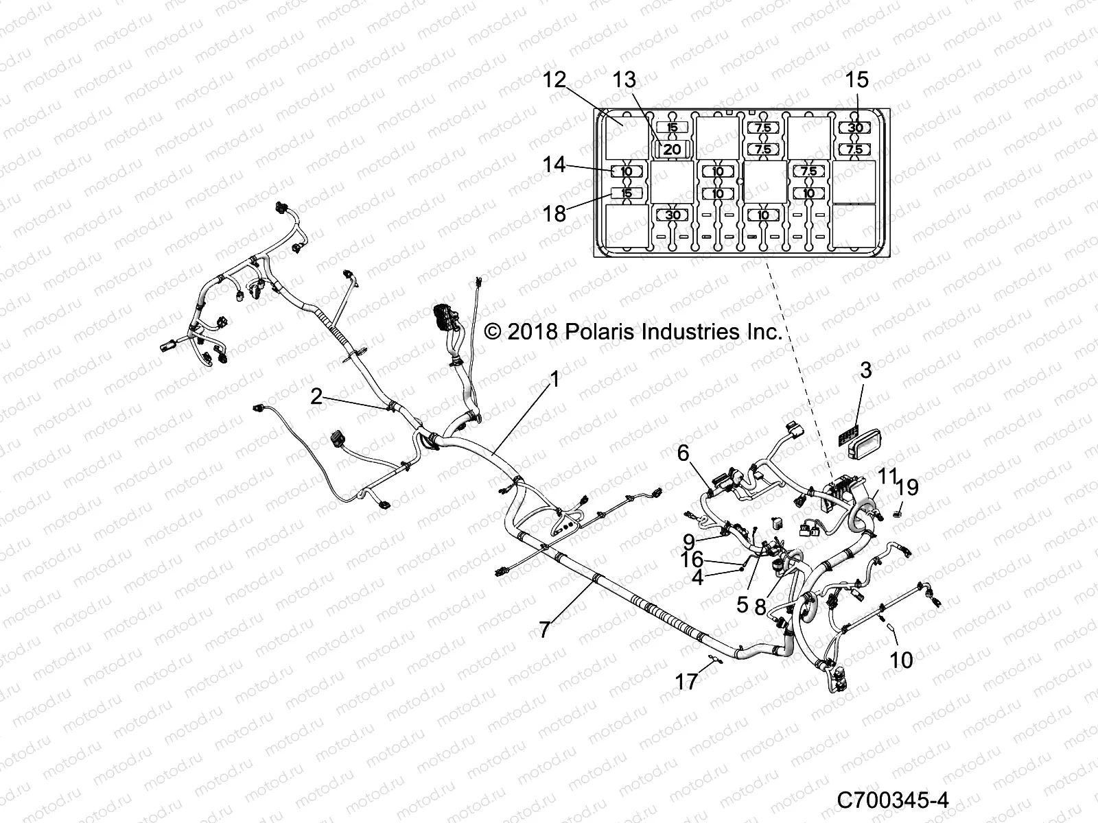 ELECTRICAL | ELECTRICAL, WIRE HARNESS - Z19VFM99AL (C700345-3)
