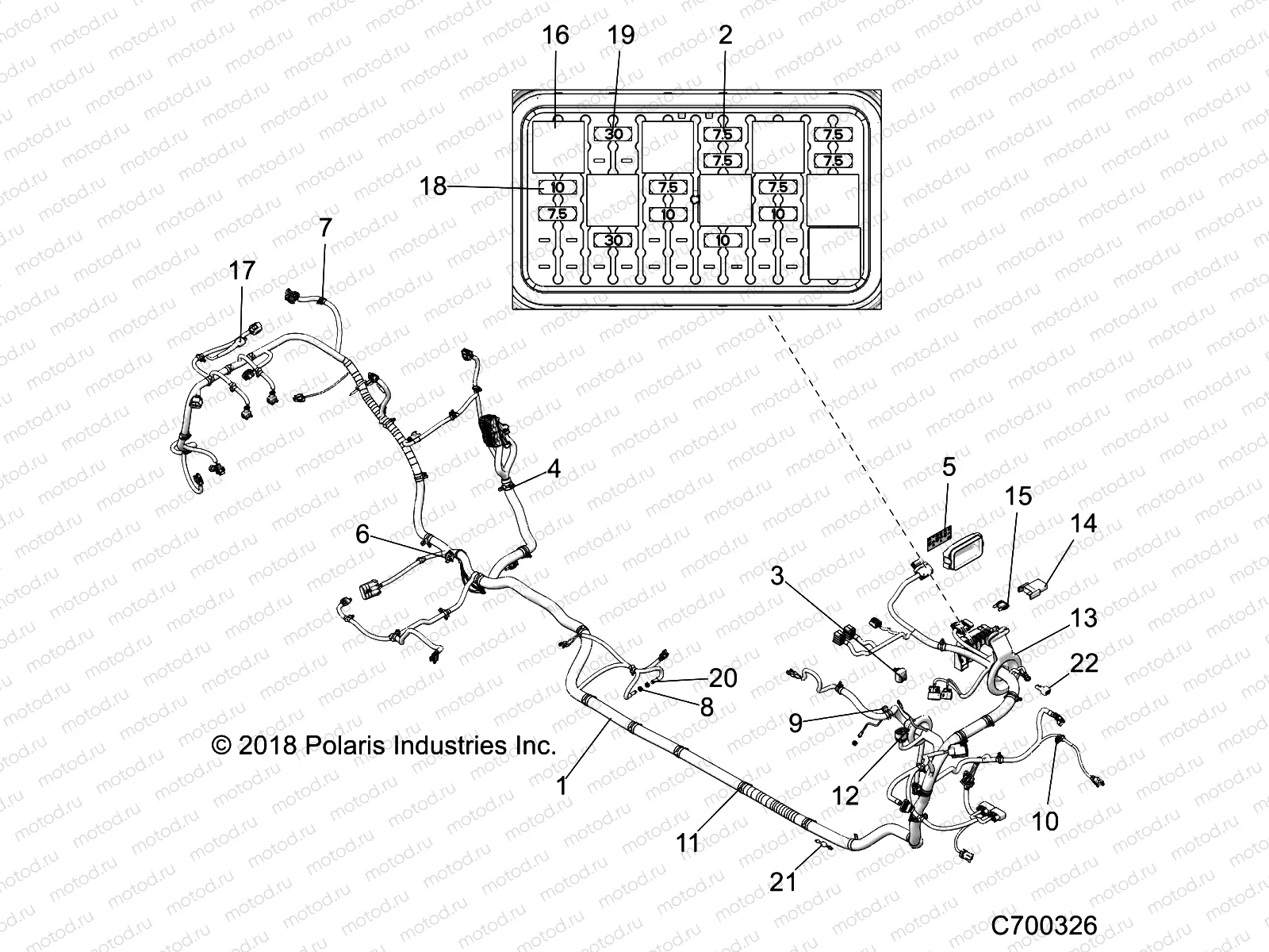 ELECTRICAL | ELECTRICAL, WIRE HARNESS - Z19VPL92AK/AR/AM (C700326)