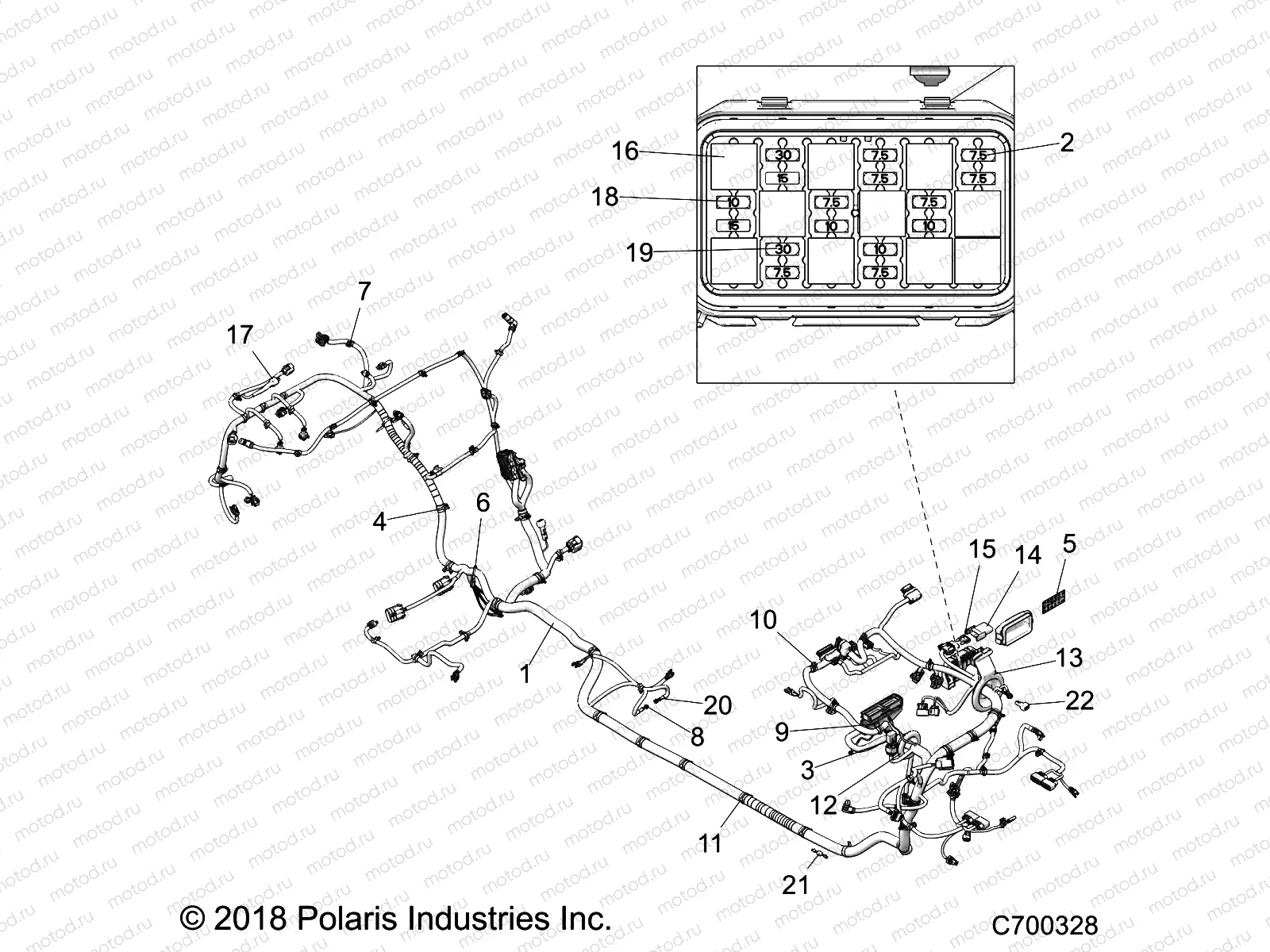 ELECTRICAL | ELECTRICAL, WIRE HARNESS - Z19VPL92BK/BR/BM (C700328)