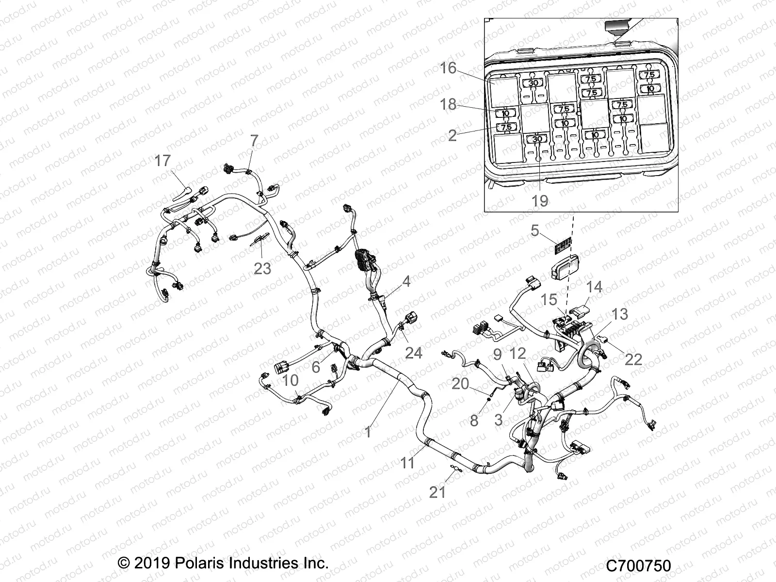 ELECTRICAL | ELECTRICAL, WIRE HARNESS - Z20PAE92BC (C700750)
