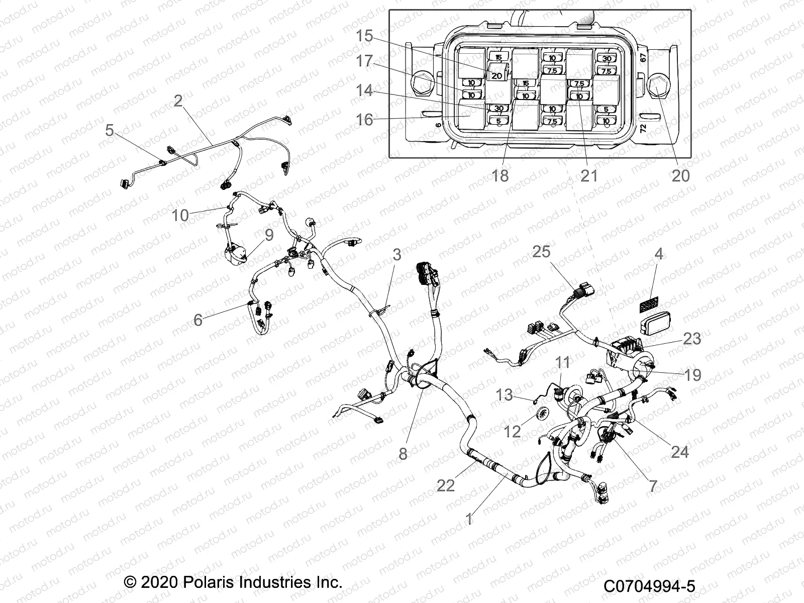 ELECTRICAL | ELECTRICAL, WIRE HARNESS - Z21ASE99F5/S99C5 (C0704994-5)