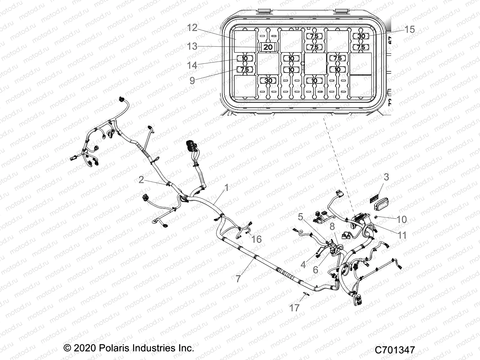 ELECTRICAL | ELECTRICAL, WIRE HARNESS - Z21N4M99AG (C700345-4)
