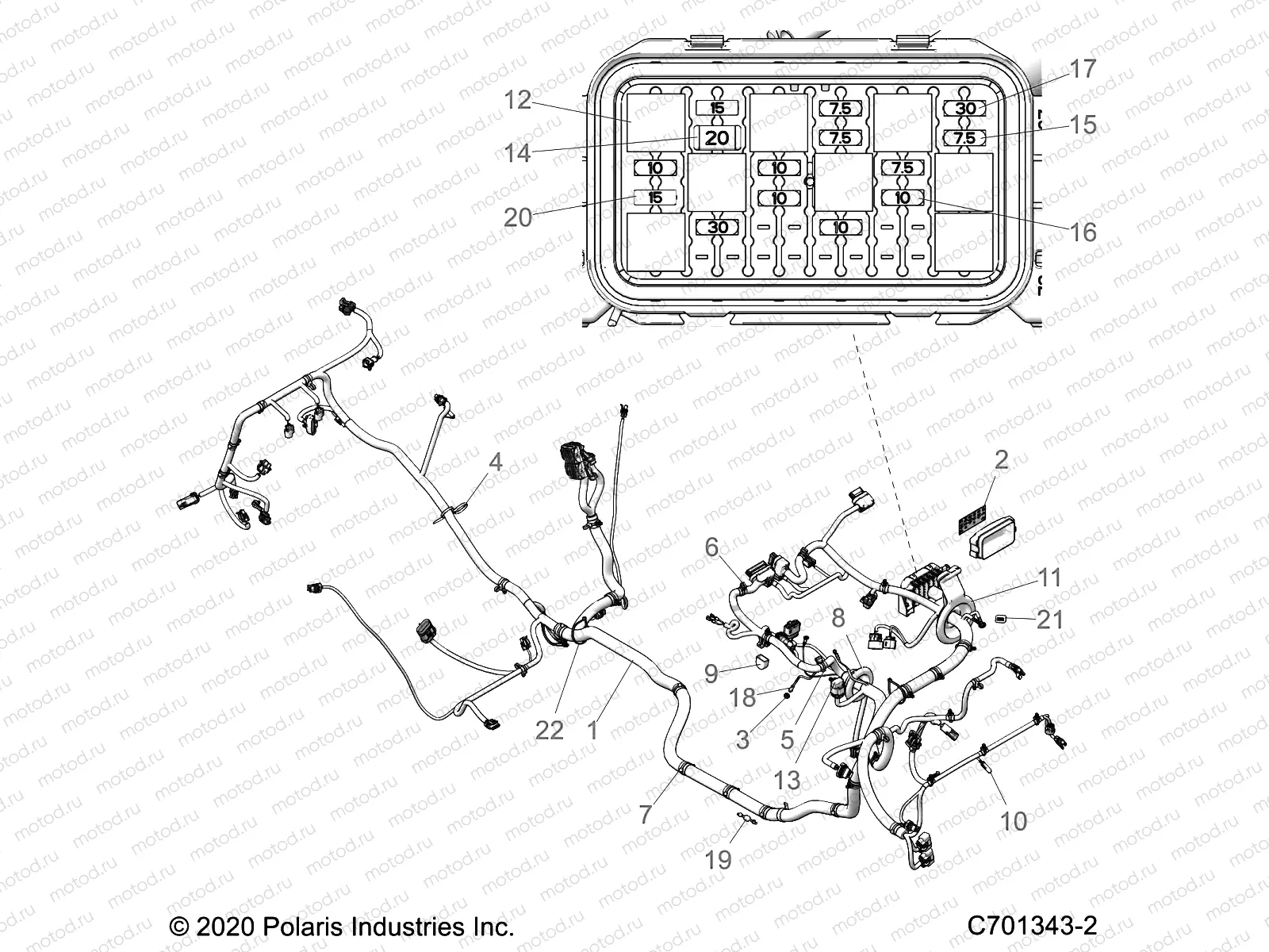 ELECTRICAL | ELECTRICAL, WIRE HARNESS - Z21NAK99AG/AP/BG/BP (C701343-2)