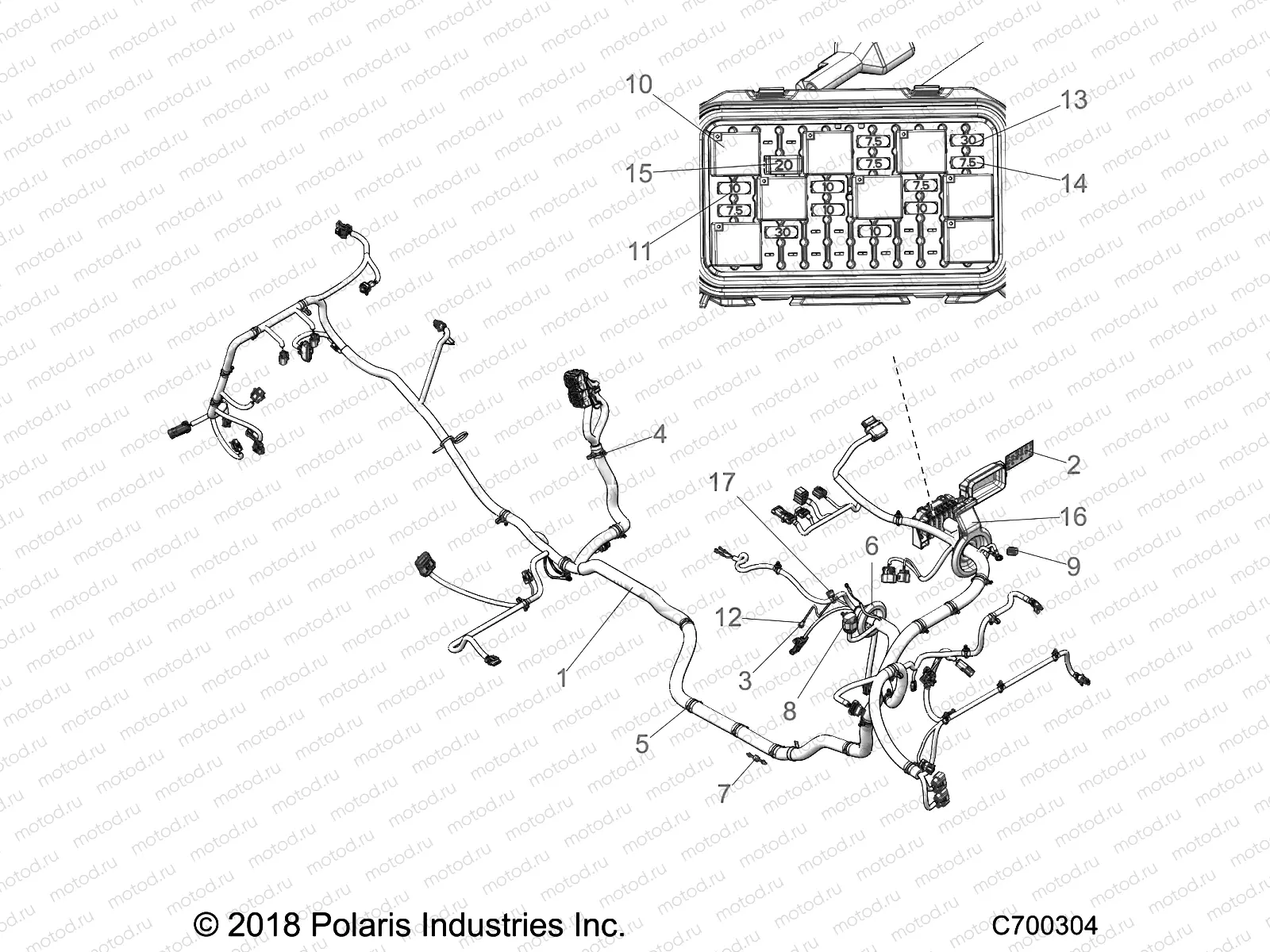 ELECTRICAL | ELECTRICAL, WIRE HARNESS - Z22NAR99AF/BF (C700304)