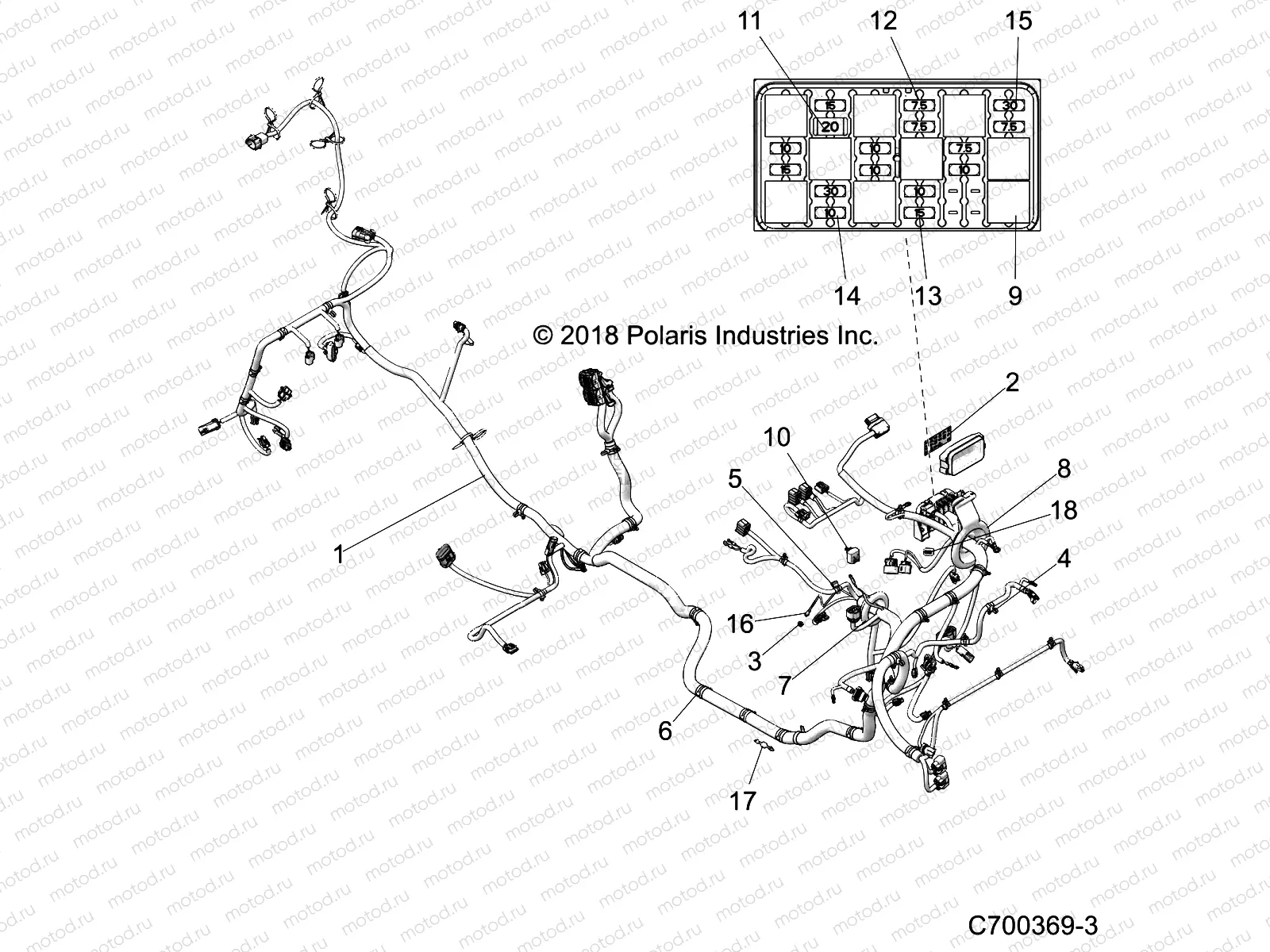 ELECTRICAL | ELECTRICAL, WIRE HARNESS - Z22NAS99CZ (C700369-3)
