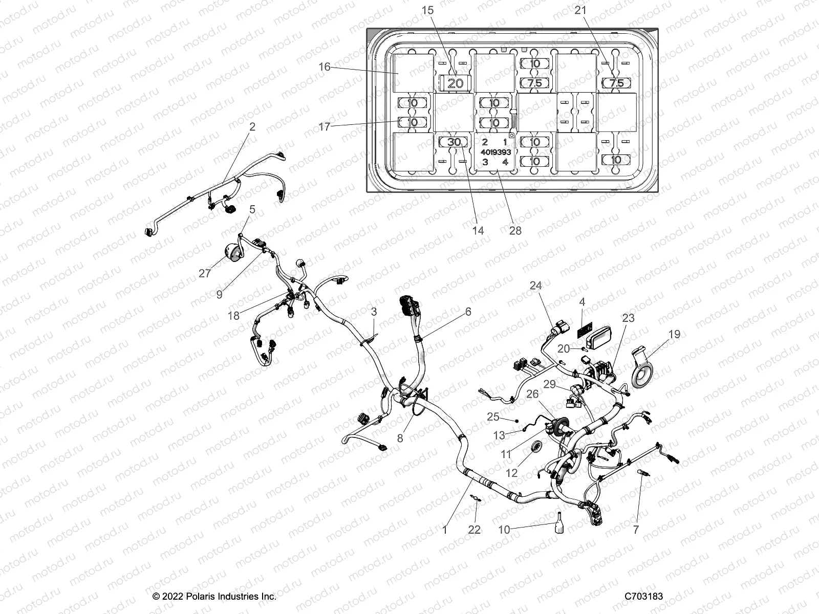 ELECTRICAL | ELECTRICAL, WIRE HARNESS - Z23ASE99F4/S99C4/F4 (C703183)