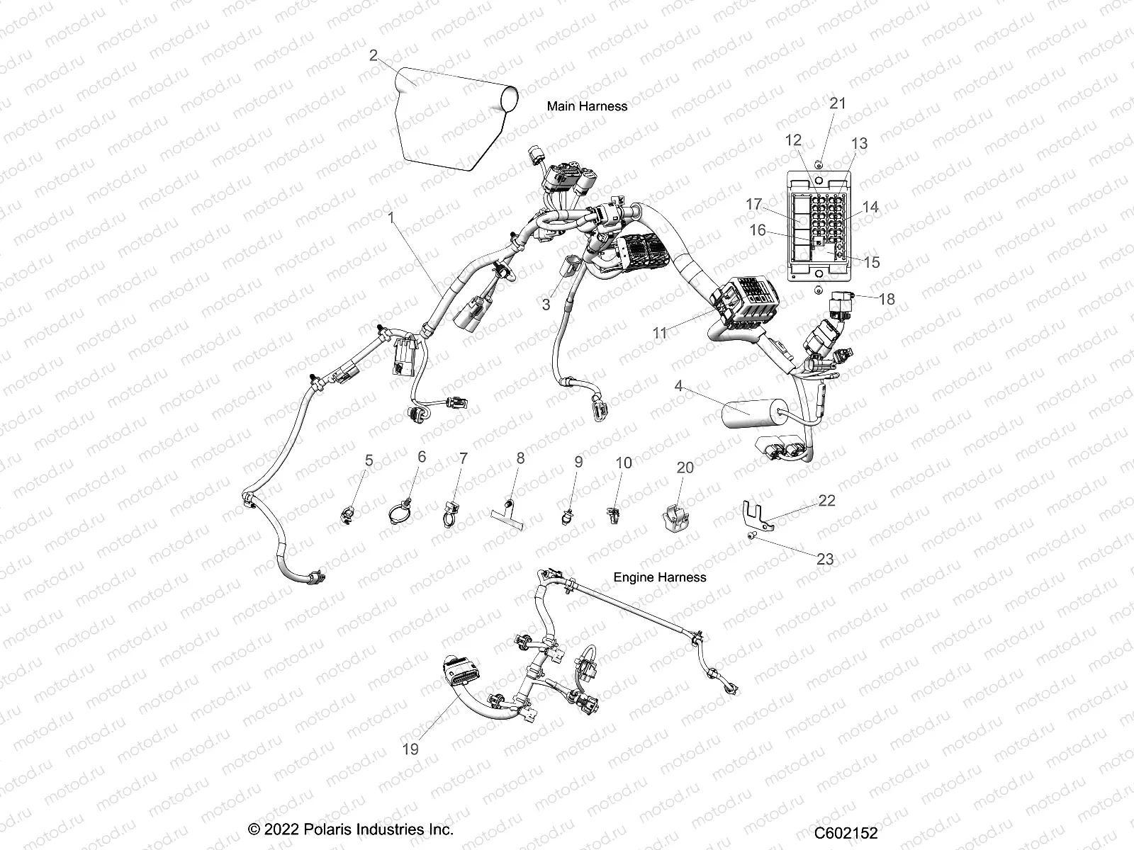 ELECTRICAL | ELECTRICAL, WIRE HARNESS,CHASSIS/FUSE BLOCK, ENGINE - S23TKP9FS (C601760)