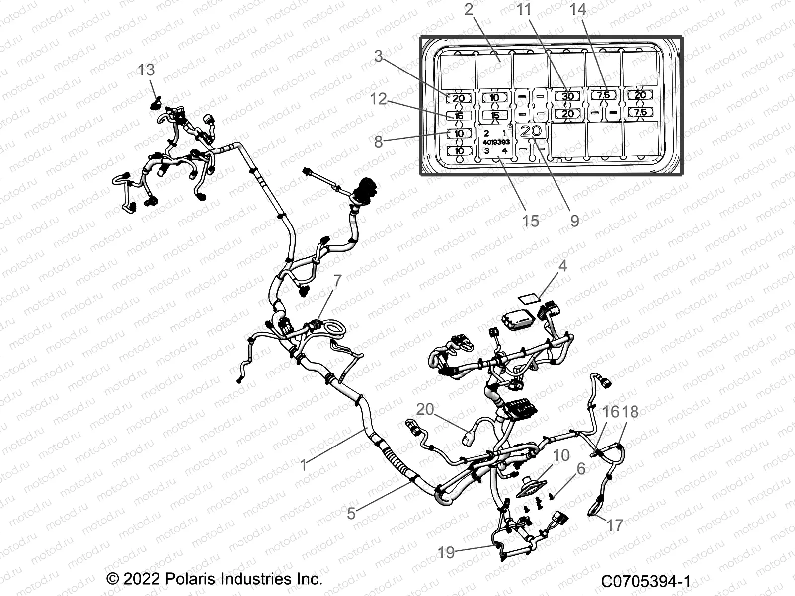 ELECTRICAL | ELECTRICAL, WIRE HARNESSES, CHASSIS - R22RRM99AG (C0705394-1)