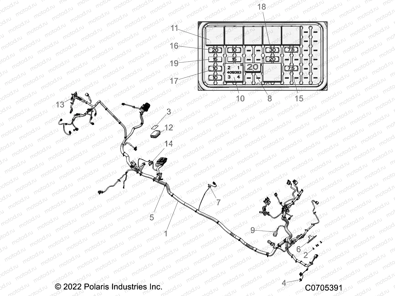 ELECTRICAL | ELECTRICAL, WIRE HARNESSES, CHASSIS - R22RSE99A9/AC/AM/AS/B9/BM/BC/BS (C0705391)