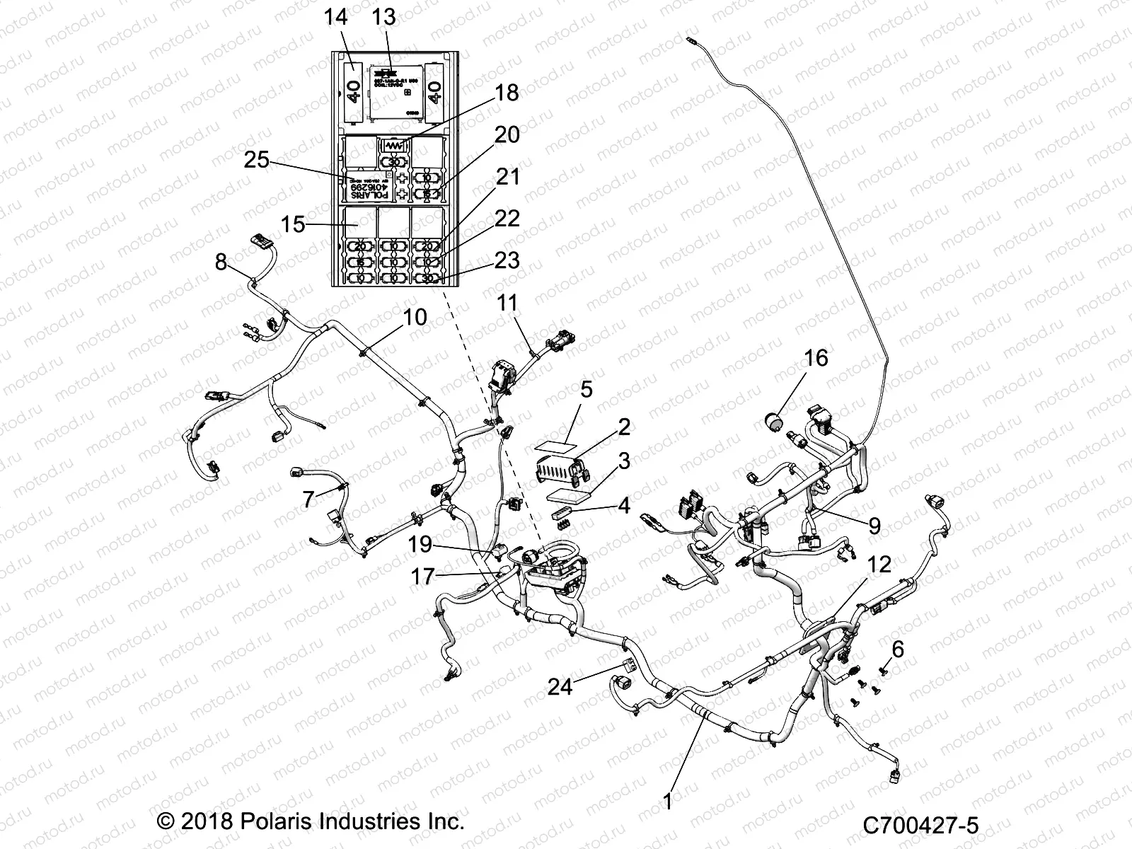 ELECTRICAL | ELECTRICAL, WIRE HARNESSES - D19BBPD4B4/BAPD4B4 (C700427-5)