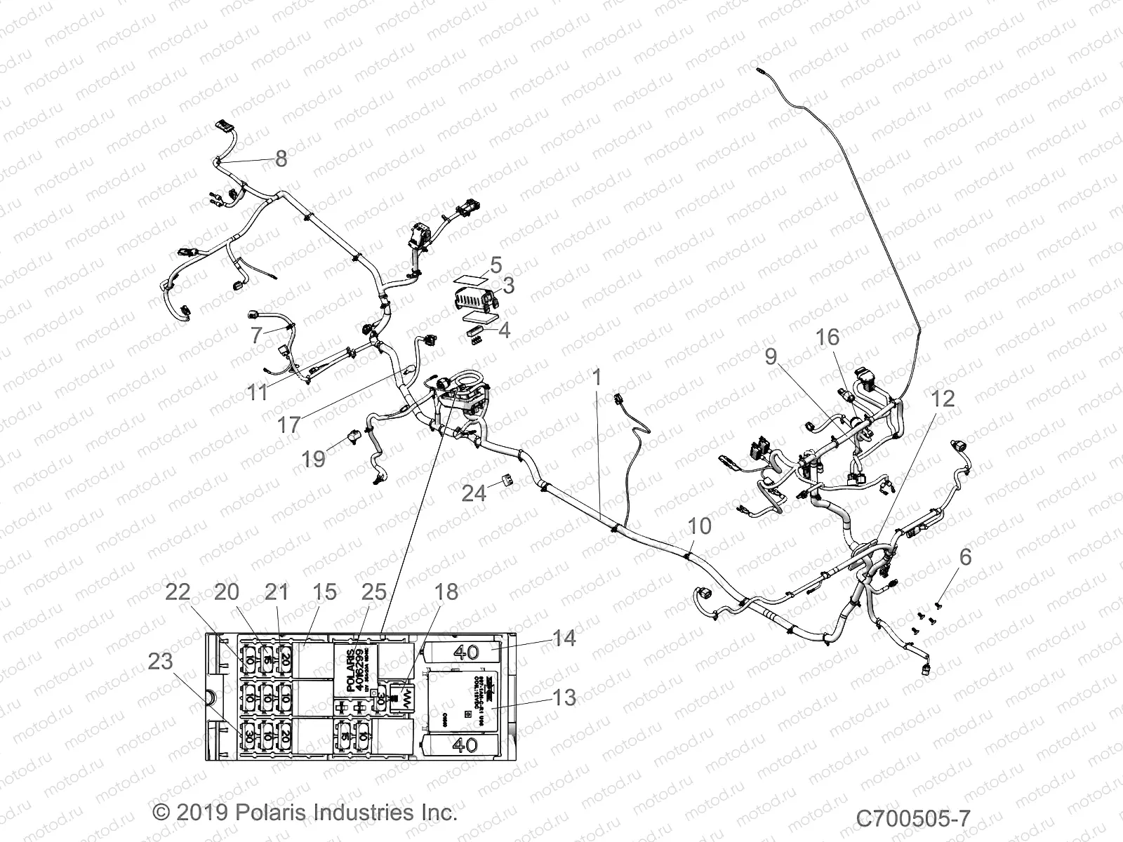 ELECTRICAL | ELECTRICAL, WIRE HARNESSES - D19BEPD4B4 (C700505-7)