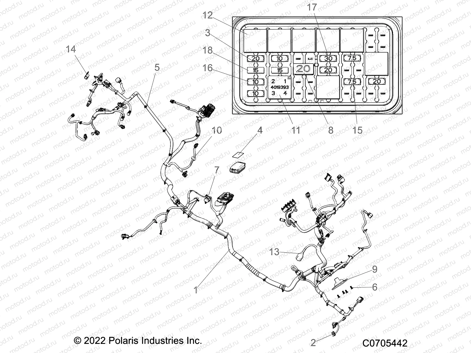 ELECTRICAL | ELECTRICAL, WIRE HARNESSES - R22RRE99DP (C0705442)