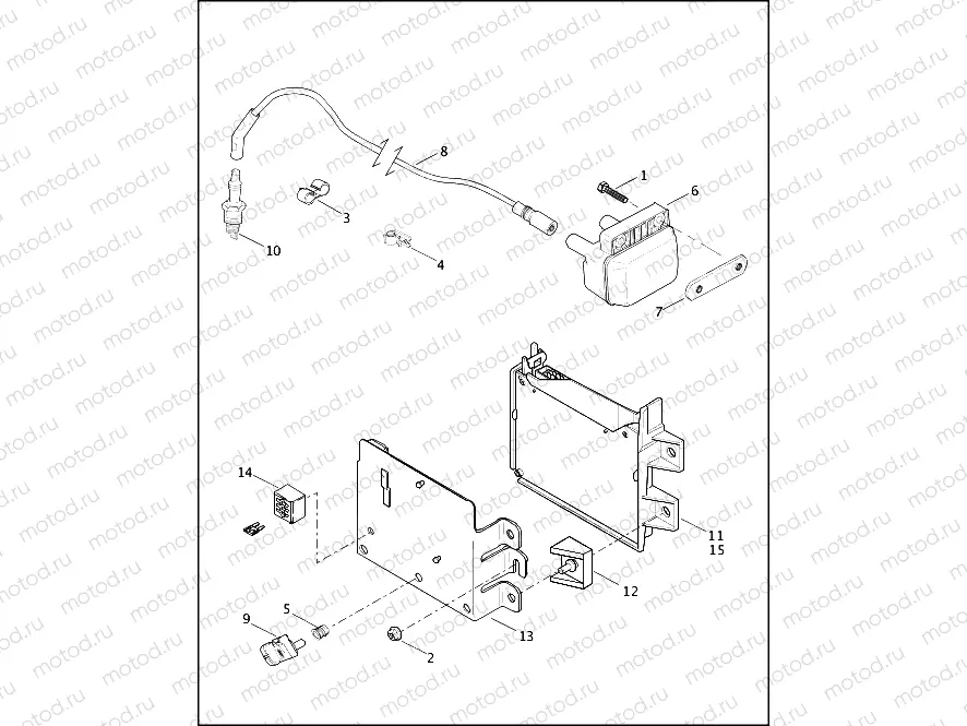 ELECTRONIC CONTROL MODULE & COIL