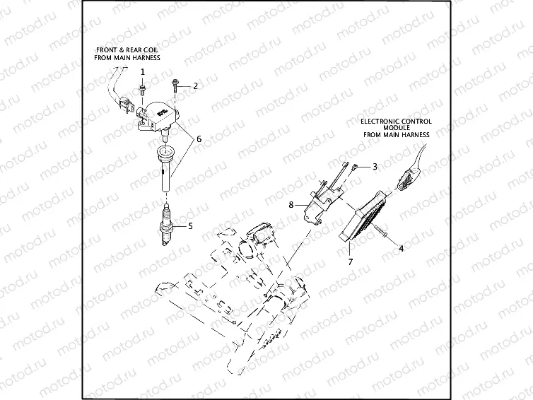 ELECTRONIC CONTROL MODULE & COIL