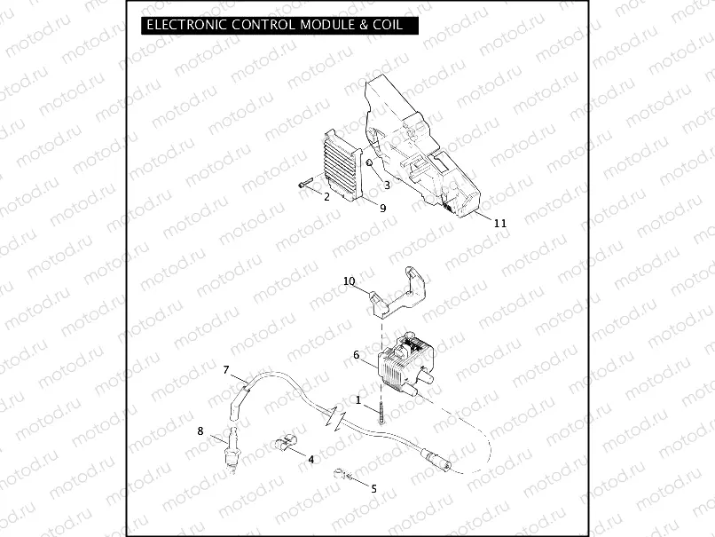 ELECTRONIC CONTROL MODULE & COIL