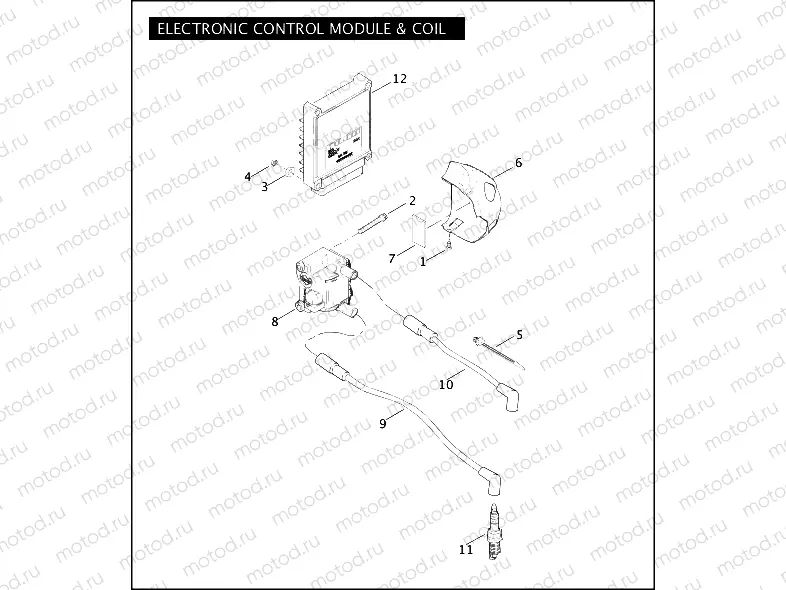 ELECTRONIC CONTROL MODULE & COIL