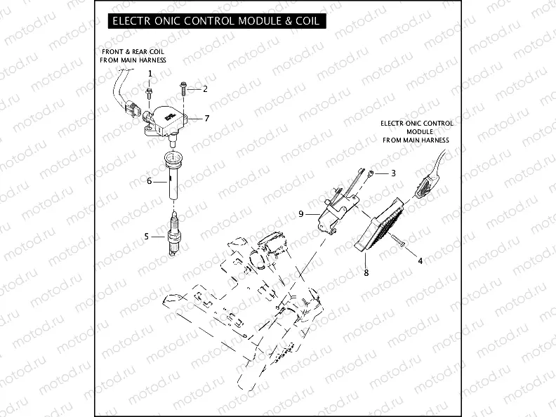 ELECTRONIC CONTROL MODULE & COIL