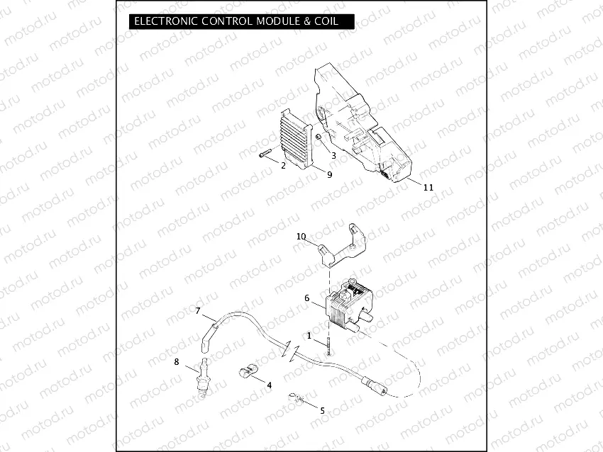 ELECTRONIC CONTROL MODULE & COIL