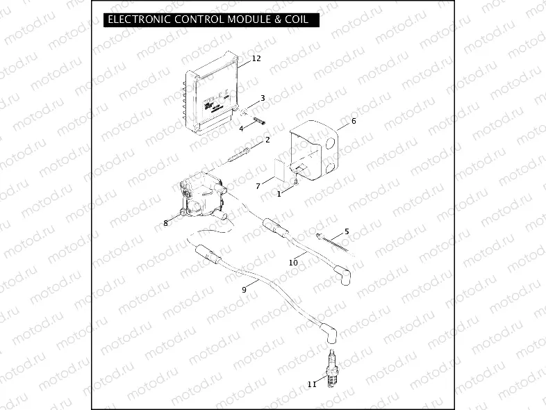ELECTRONIC CONTROL MODULE & COIL