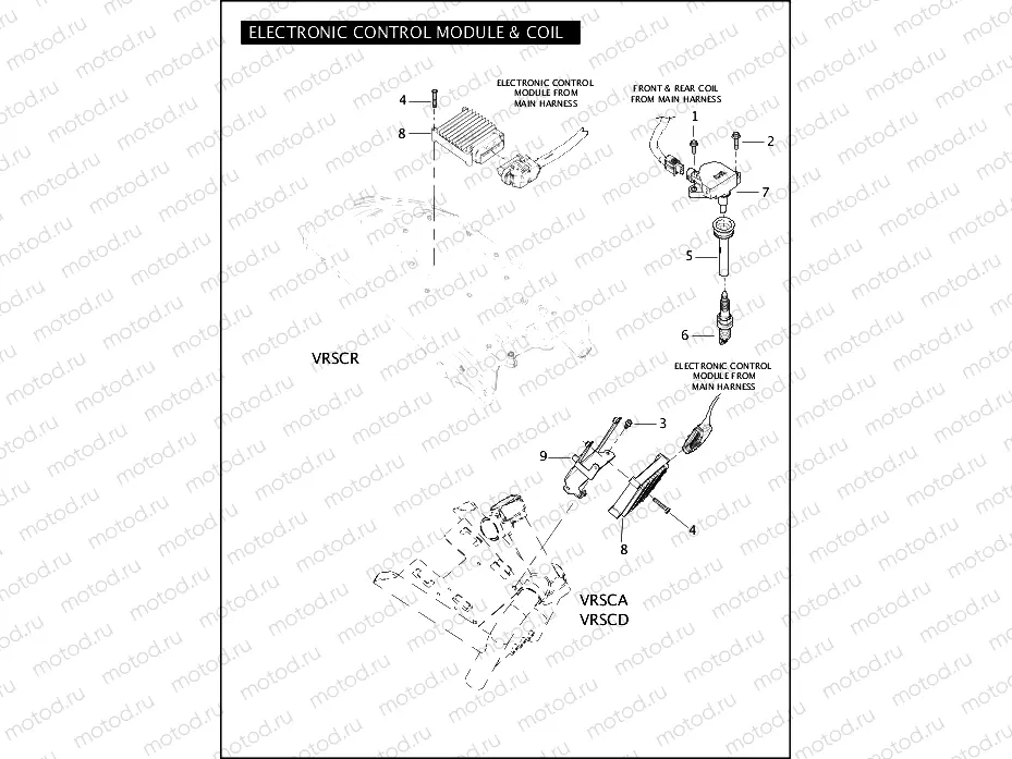 ELECTRONIC CONTROL MODULE & COIL