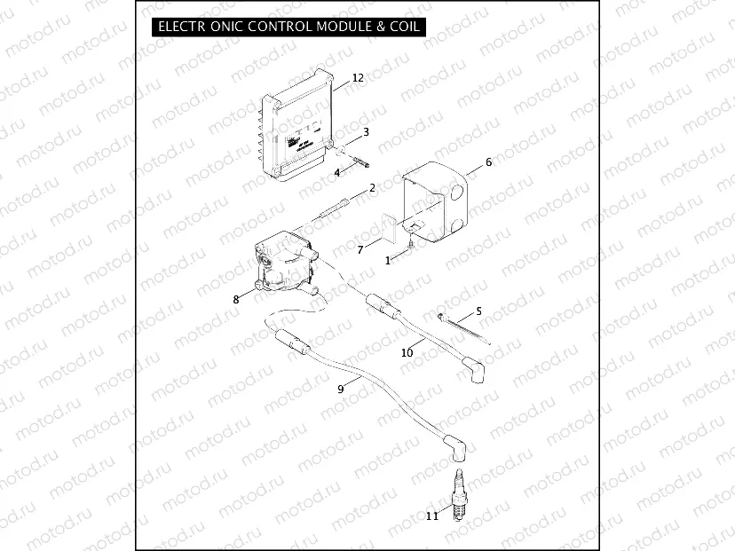 ELECTRONIC CONTROL MODULE & COIL