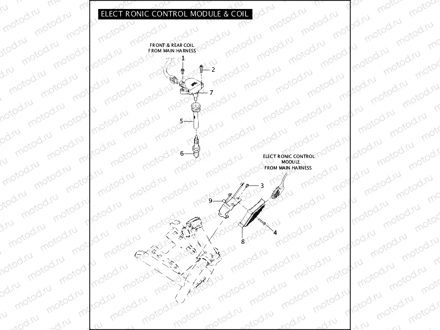 ELECTRONIC CONTROL MODULE & COIL
