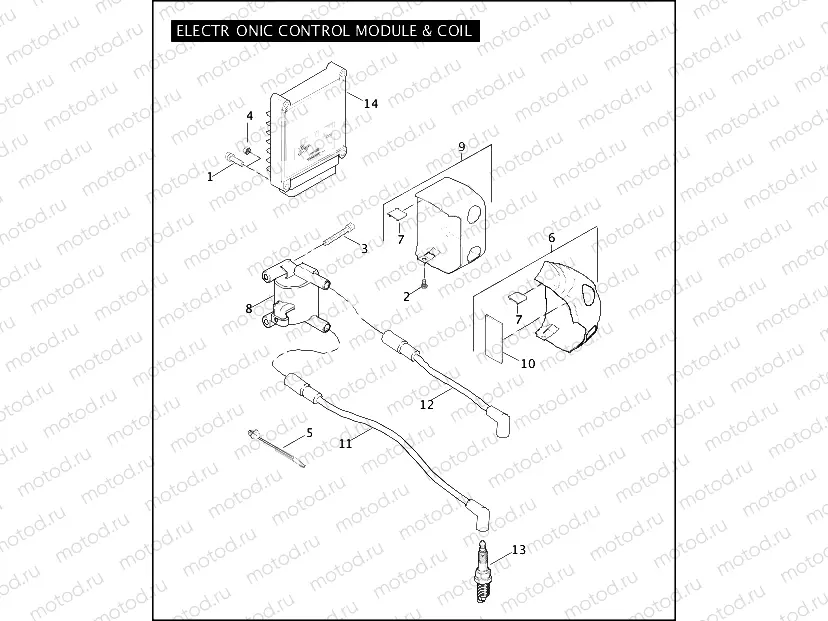 ELECTRONIC CONTROL MODULE & COIL