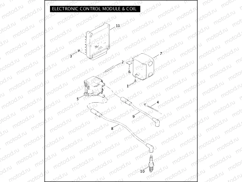 ELECTRONIC CONTROL MODULE & COIL