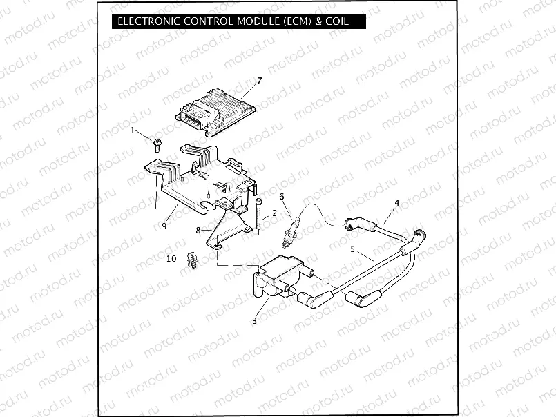 ELECTRONIC CONTROL MODULE & COIL
