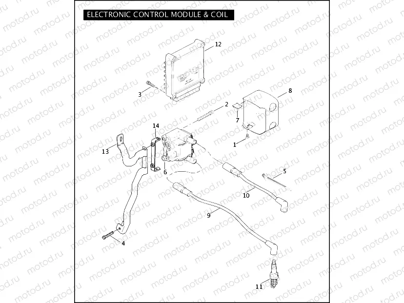 ELECTRONIC CONTROL MODULE & COIL