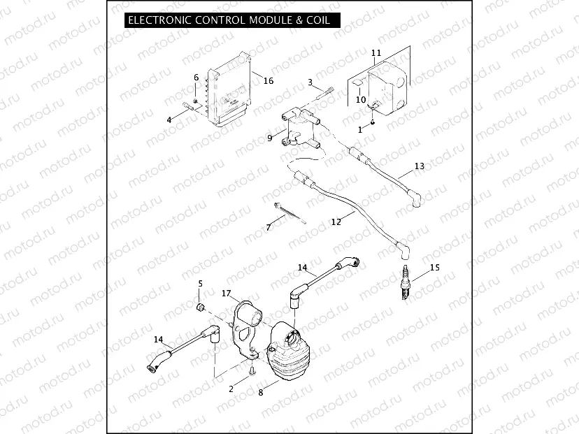 ELECTRONIC CONTROL MODULE & COIL