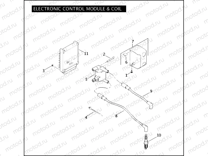 ELECTRONIC CONTROL MODULE & COIL