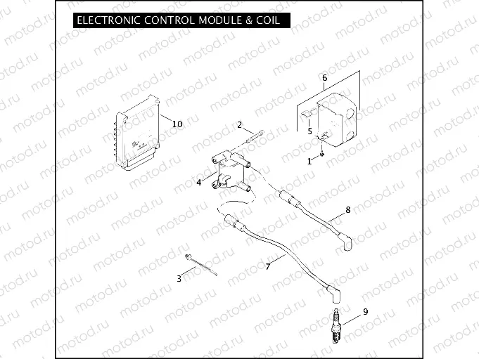 ELECTRONIC CONTROL MODULE & COIL
