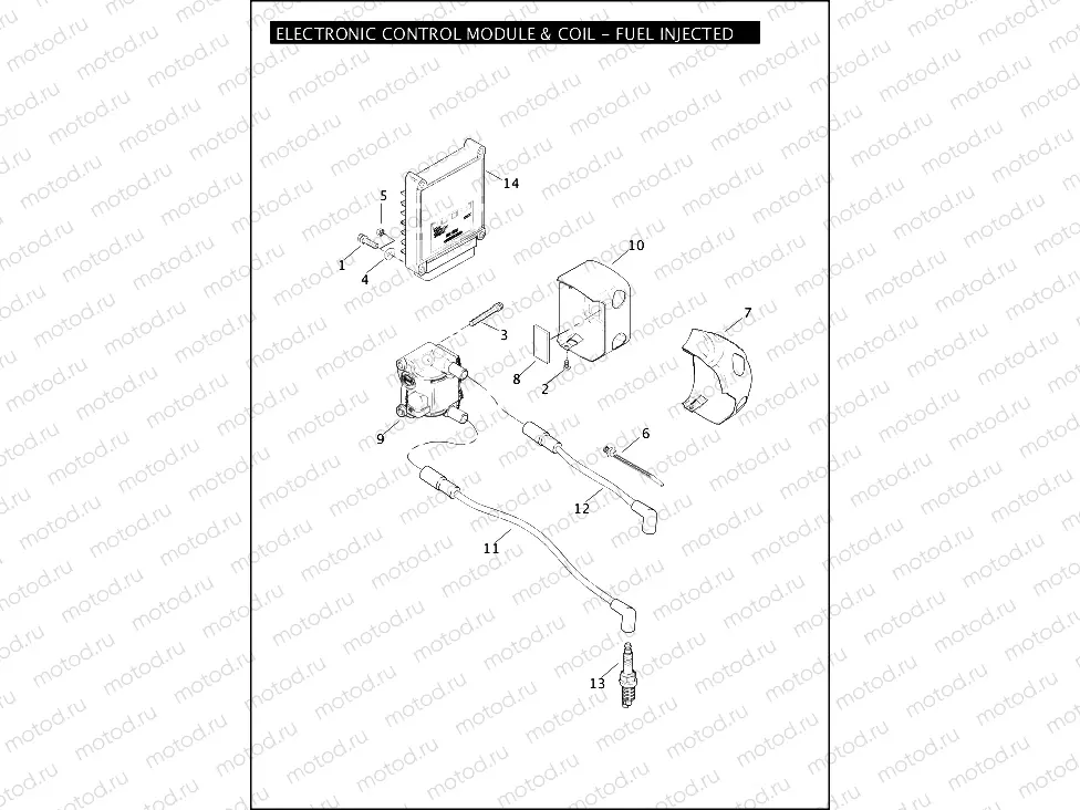 ELECTRONIC CONTROL MODULE & COIL - FUEL INJECTED