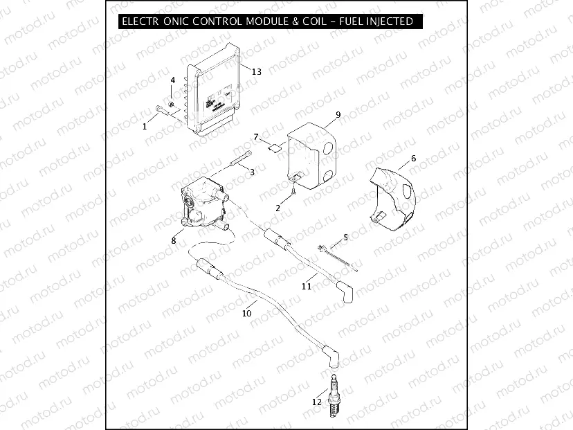 ELECTRONIC CONTROL MODULE & COIL - FUEL INJECTED