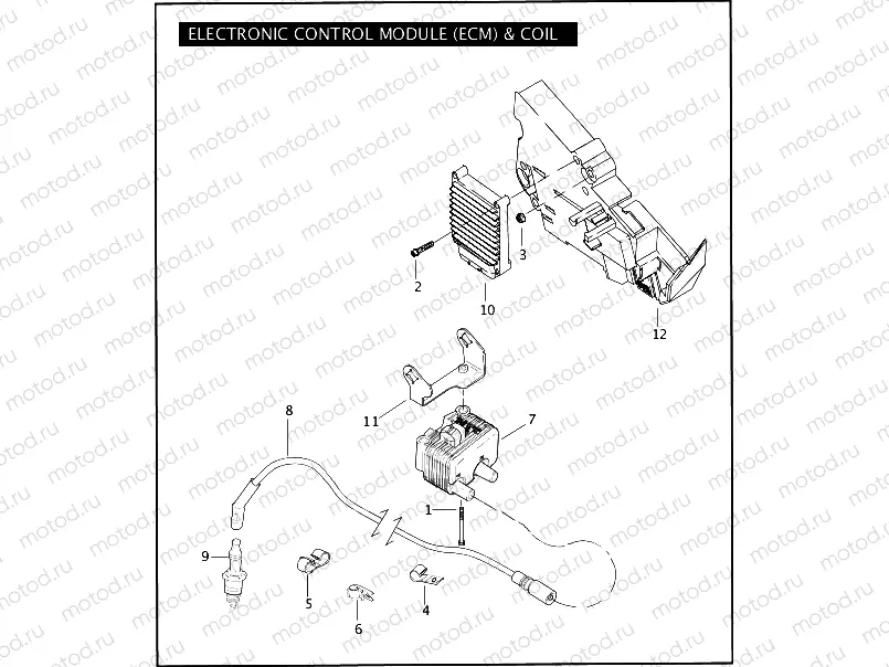 ELECTRONIC CONTROL MODULE (ECM) & COIL