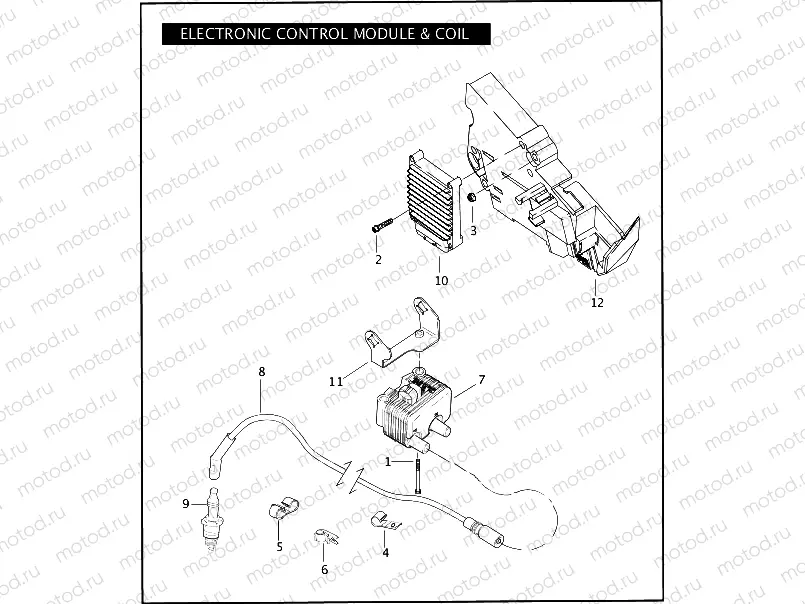 ELECTRONIC CONTROL MODULE (ECM) & COIL